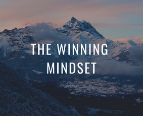 Paslaugos verslui - Įmonių veiklos restruktūrizavimas ir investavimas - 1