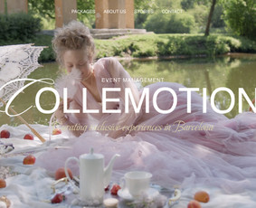 Internetas, IT - #1 Internetinių Svetainių ir Parduotuvių Kūrimas - 1