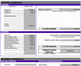 Finansų konsultantai - Asmeninių finansų ir investavimo planavimo konsultacijos - 4