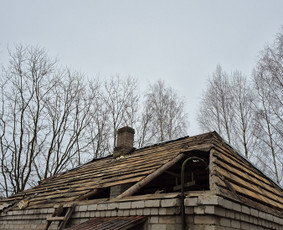 Griovimo darbai šiukšliu išvežimas / Audrius / Darbų pavyzdys ID 4203485