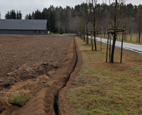 Įrankių nuoma - Tran&scaron;ėjų kasimas, kelmų &scaron;alinimas, medžio smulkinimas, - 3