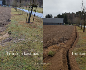 Statybinės technikos nuoma - Skylių grezimas, transeju kasimas, kelmu salinimas - 1
