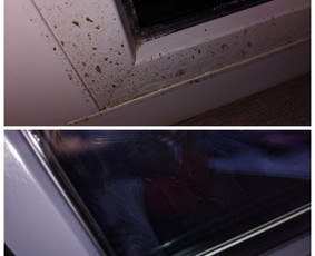 Butų valymas - Ag Švara - 2