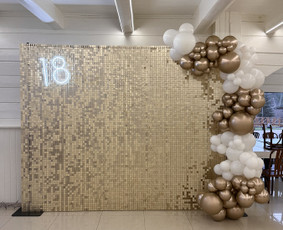 Šventinės įrangos nuoma - Foto sienos nuoma - 4