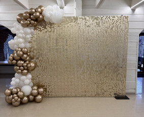 Šventinės įrangos nuoma - Foto sienos nuoma - 3