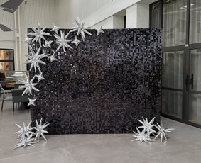 Šventinės įrangos nuoma - Foto sienos nuoma - 2