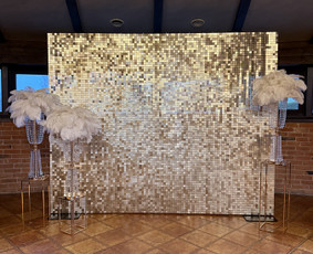 Šventinės įrangos nuoma - Foto sienos nuoma - 1