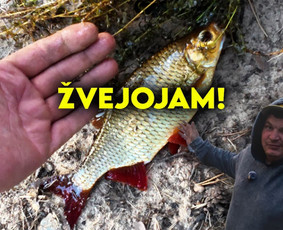 Video Montavimo Paslaugos. / Nojus Liorenta / Darbų pavyzdys ID 4203807