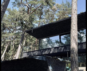 Mūro darbai, mūrijimas - Muro darbai - 1