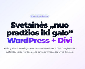 Interneto svetainių kūrimas - Svetainių kūrimas, optimizavimas ir palaikymas - 1