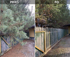Sklypų tvarkymas: medžių ir krūmų pjovimas su išvežimu. / Albertas Rakuckis / Darbų pavyzdys ID 4204413