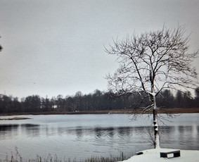 Sveikata, gydymas - Psichologės konsultacijos gyvai ir nuotoliu - 1