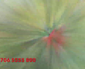 Aplinka, sodas - 06 55 55 800 Medžių Pjovimas Ir Genėjimas Visoje Lietuvoje - 4