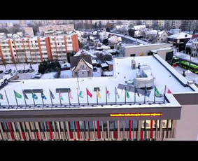 Aplinka, sodas - 06 55 55 800 Medžių Pjovimas Ir Genėjimas Visoje Lietuvoje - 2