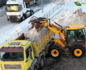 Aplinka, sodas - 06 55 55 800 Medžių Pjovimas Ir Genėjimas Visoje Lietuvoje - 1