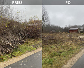 &Scaron;akų i&scaron;vežimas - Sklypų tvarkymas: medžių ir krūmų pjovimas su i&scaron;vežimu. - 1
