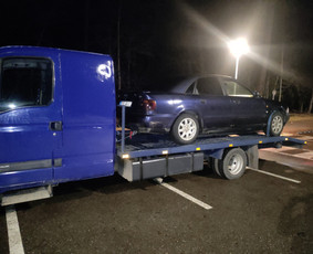 Transportas - Traliuko paslaugos - 3