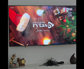 Statybos darbai - Stogu dengimas / Invidualių namu statyba - 1