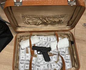 Augalų nuoma - Tropical foto sienos nuoma ir kitų dekoracijų nuoma, Vilnius - 3