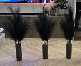 Augalų nuoma - Tropical foto sienos nuoma ir kitų dekoracijų nuoma, Vilnius - 4