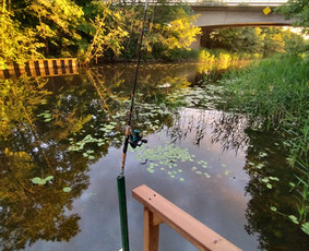 Sodybos nuoma,pirtis, salė, plotas, miegamieji / Mindaugas Grinkevicius / Darbų pavyzdys ID 4206539
