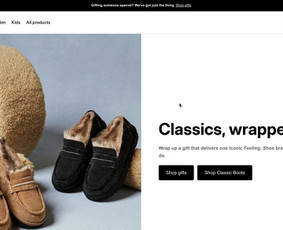 El. parduotuvių kūrimas - Internetinių puslapių kūrimas (Wordpress Shopify t. t.) - 1