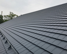 Stogdengiai, stogo darbai - Visi stogo darbai - 1