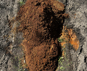 Vandens nugeležinimo filtrų remontas - Vandens Filtrų Profilaktika remontas Priežiūra - 4