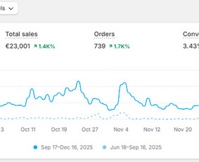 Paslaugos verslui - Facebook/instagram/tiktok Reklama Pajamu Generavimui - 1
