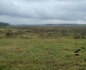 Kitos kategorijos - Nekilnojamo turto paslaugos - 1