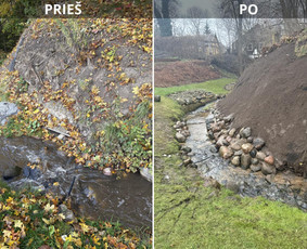 &Scaron;laitų tvirtinimas ir apželdinimas - Aplinkos tvarkymas, apželdinimas - 1