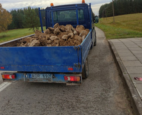 Griovimo darbai- šiukšlių išvežimas / Linas / Darbų pavyzdys ID 4209795