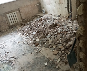 Griovimo darbai- šiukšlių išvežimas / Linas / Darbų pavyzdys ID 4209831