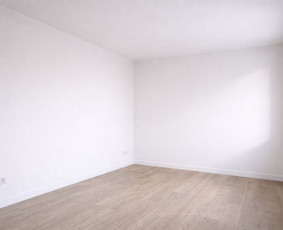 Tapetų klijavimas - Vidaus apdailos darbai Vilniuje - 3