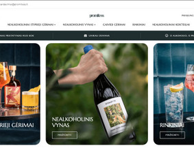 Svetainių dizainas (web design) - Internetinių svetainių ir el. parduotuvių kūrimas / Seo - 1