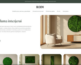 Svetainių dizainas (web design) - Internetinių svetainių ir el. parduotuvių kūrimas / Seo - 2