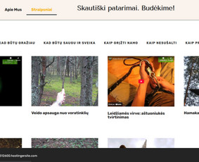 Interneto svetainių kūrimas - Interneto svetainių kūrimas, El. parduotuvių kūrimas - 2