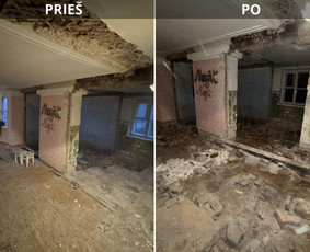 Griovimo darbai - Griovimo / Demontavimo Darbai - 1