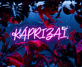 Renginiai, &scaron;ventės - Kaprizai - baro patalpų nuoma &scaron;ventėms - Panevėžio Centre! - 2