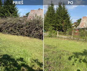 &Scaron;akų i&scaron;vežimas - Sklypų tvarkymas: medžių ir krūmų pjovimas su i&scaron;vežimu. - 3