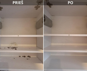 Visos valymo paslaugos. Dirbame visoje Lietuvoje ! / MB "HD Clean" / Darbų pavyzdys ID 4214029