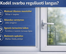 Vidaus apdailos darbai - Langų remontas tvarkymas sandarinimas - 2