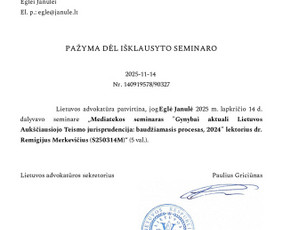 Skyrybų advokatai - Advokatė Eglė Janulė - 2