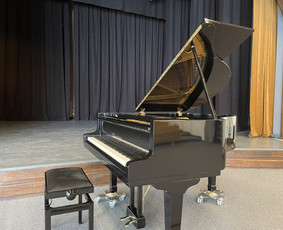 Mokymai, kursai, kalbos - Individualios fortepijono pamokos Rokuose bei nuotoliu - 1