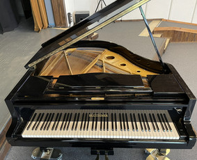 Mokymai, kursai, kalbos - Individualios fortepijono pamokos Rokuose bei nuotoliu - 2