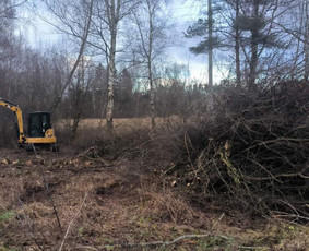 Sklypų valymas, pagrindų, vejos įrengimas,trinkelių klojimas / UAB "Pakrilė" / Darbų pavyzdys ID 4215153