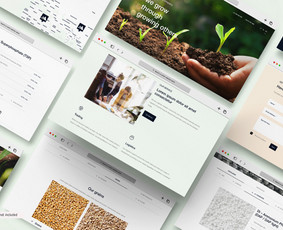 Internetas, IT - Brendingas, svetainių dizainas ux/ui - 2