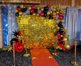 Fotopaslaugos - Foto sienos nuoma Klaipėda - 4