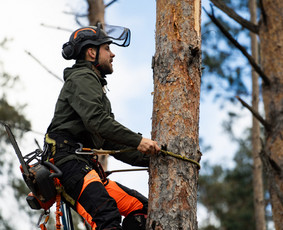 Apleistų sklypų tvarkymas - Medžių pjovimas, genėjimas, kra&scaron;tovaizdžio priežiūra - 4