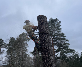 Avarinių medžių pjovimas - Medžių pjovimas, genėjimas, kra&scaron;tovaizdžio priežiūra - 4